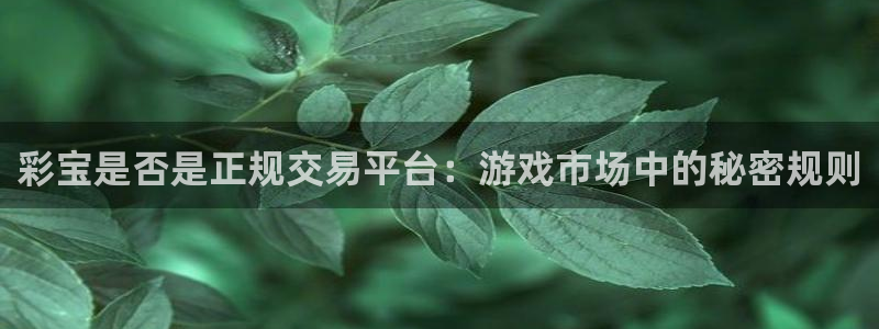 彩宝是否是正规交易平台：游戏市场中的秘密规则