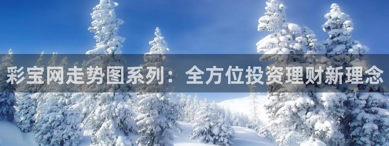 彩宝网走势图系列：全方位投资理财新理念