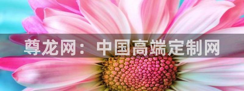 伟德国际官网
