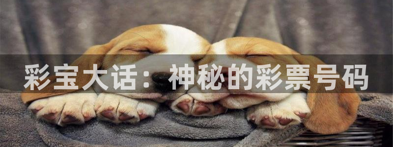 伟德国际1946官网