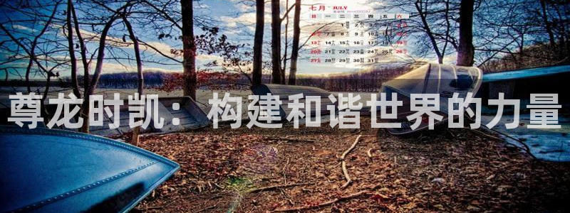 伟德app官网下载：尊龙时凯：构建和谐世界的力量