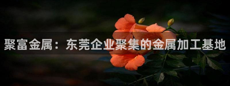 伟德国际app下载安装：聚富金属：东莞企业聚集的金属加工基地