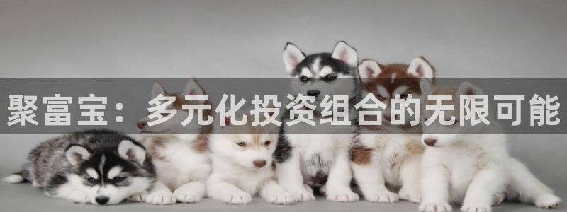 伟德国际app下载安装：聚富宝：多元化投资组合的无限可能